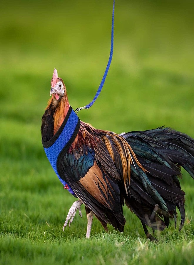 Arbootjin Chicken Harness (Medium, Blue) with Leash, Breathable, Adjustable, Comfortable for Chickens, Ducks, Geese, and Small Pets - Image 5